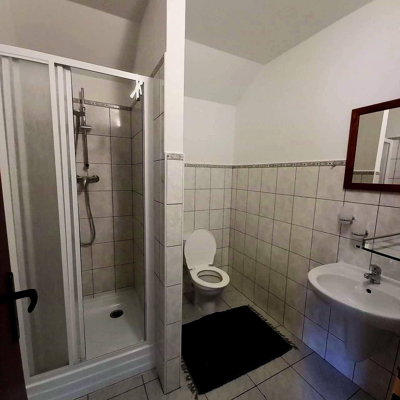 Apartmán č. 3 — sprchový kout, WC a umyvadlo